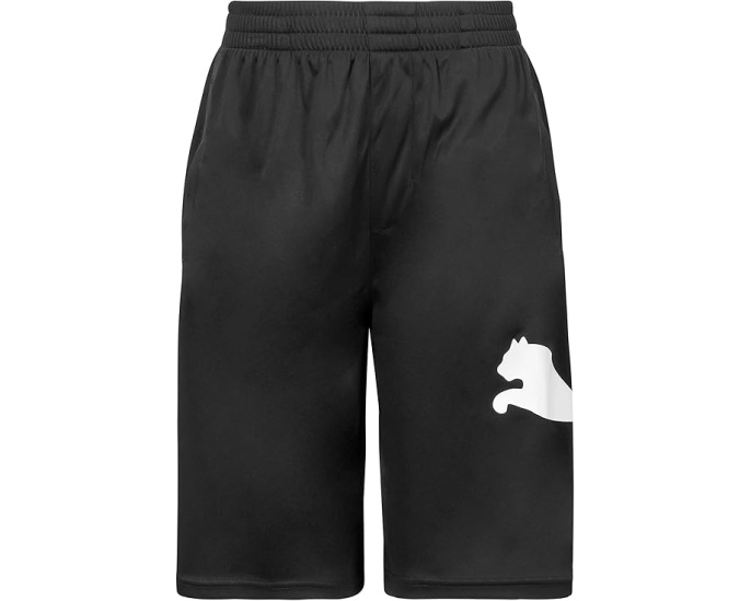 Спортивные шорты Boys Core Essential Puma