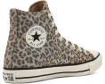Кеды Converse Chuck Taylor All Star Leopard Jacquard с леопардовым принтом