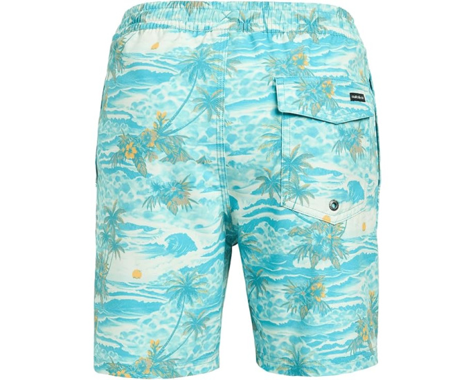 Детские шорты Surfsilk Mix Volley с принтом и эластичным поясом Quiksilver