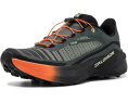 Кроссовки Salomon Genesis 2 для трейла с контактной подошвой