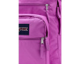Рюкзак Big Student JanSport для школы