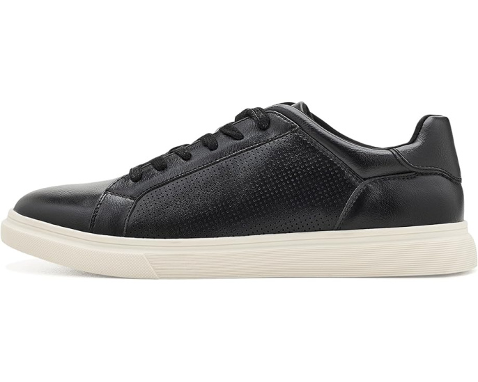 Кеды Steve Madden Philip черные на шнурках