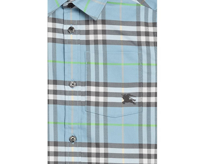 Детская рубашка Billy Check Burberry Kids