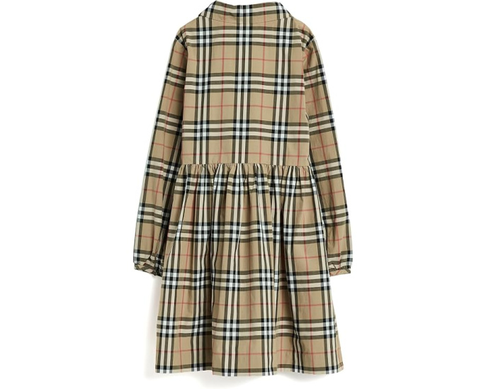 Winifred Check Dress (Toddler/Little Kid/Big Kid)