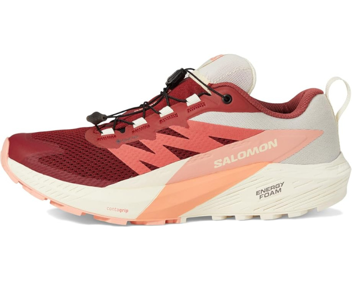 Кроссовки Salomon Sense Ride 5 GORE-TEX водонепроницаемые