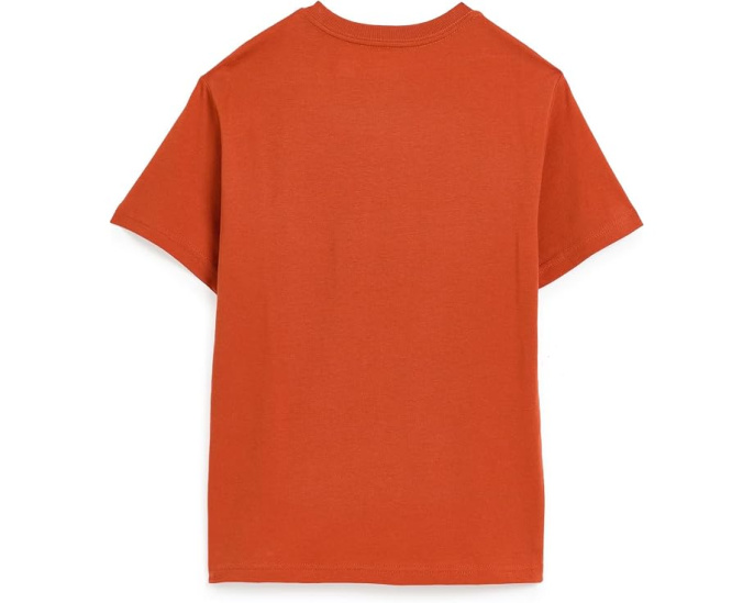 Polo Bear Cotton Jersey Tee (Toddler/Little Kid)