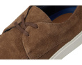 Обувь Steve Madden Frankk из замша с круглым носком