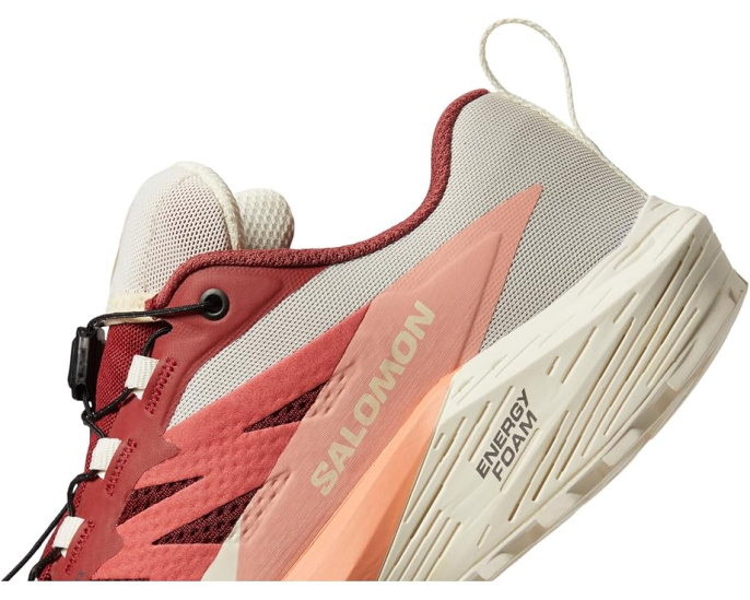 Кроссовки Salomon Sense Ride 5 GORE-TEX водонепроницаемые