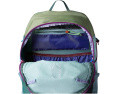 Рюкзак Elqui18L Backpack от Cotopaxi с вентилируемой спинкой