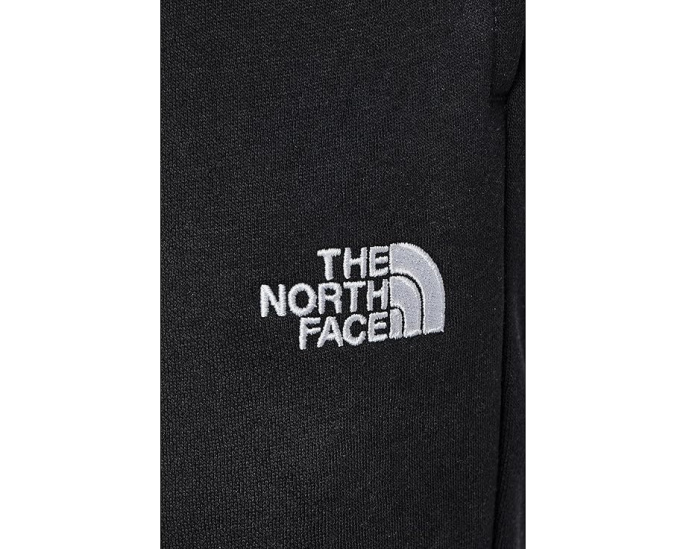 Штаны The North Face Evolution EMB для детей черные