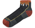 Носки Darn Tough Vermont Hiker 1/4 Midweight with Cushion для походов