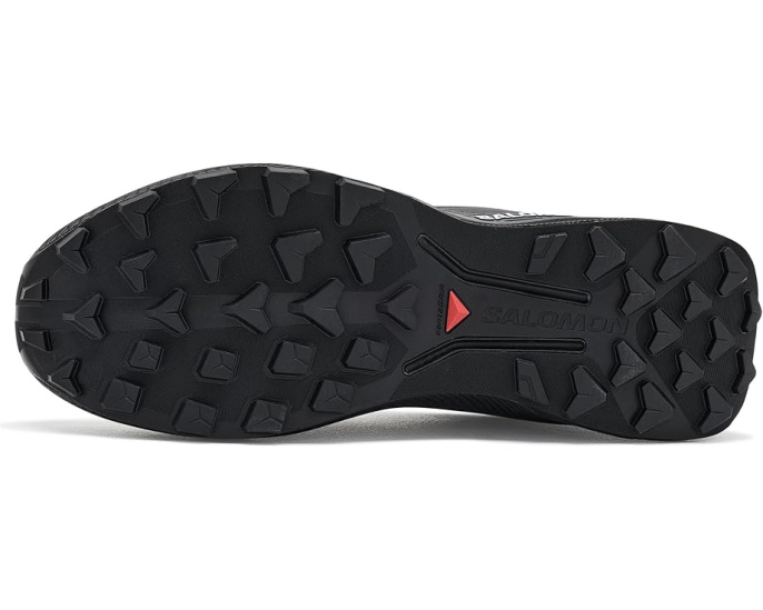 Трейловые кроссовки Salomon Genesis 2 GORE-TEX