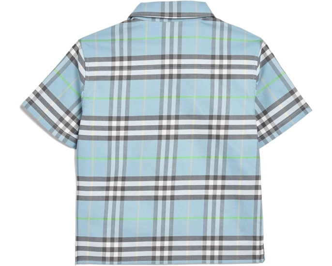 Детская рубашка Billy Check Burberry Kids