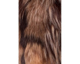 Куртка Tesie Toggle с застежками от UGG