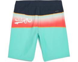 Шорты для плавания Everyday Panel для мальчиков от Quiksilver с кулиской