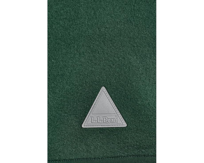 L.L.Bean флисовая анорак Mountain Classic для малышей