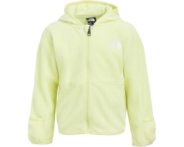 Детская толстовка The North Face Glacier с капюшоном и молнией