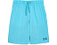 Шорты Compression Volley от Under Armour