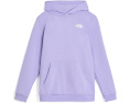 Худи The North Face Evolution Box NSE с капюшоном для детей