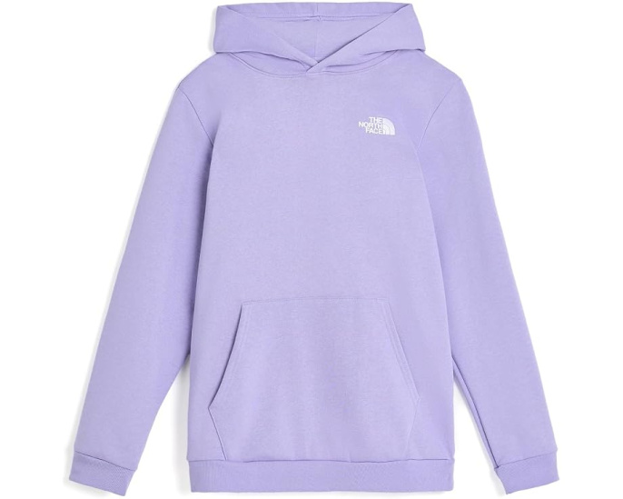 Худи The North Face Evolution Box NSE с капюшоном для детей