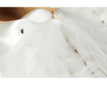 Туфли Gem на каблуке от Badgley Mischka