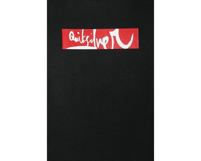 Футболка Quiksilver YG Impaired Surf Screen Tee с графикой