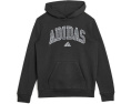 Худи Adidas Collegiate Arch с капюшоном для детей