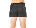 Трусы Icebreaker Anatomica Boxers с гульфиком из мериносовой шерсти