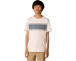 Футболка Surf Stripe Sunwashed для детей