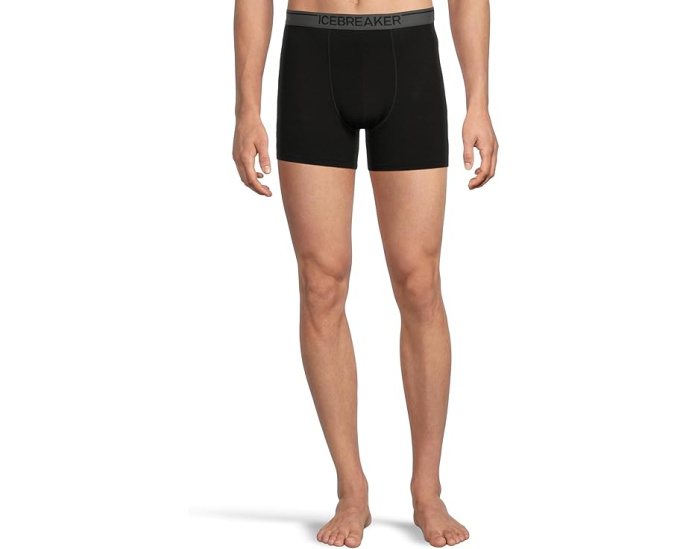 Трусы-боксеры Icebreaker Merino 150 Anatomica из мериносовой шерсти