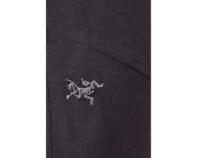 Штаны Arc'teryx Clarkia AR для скалолазания