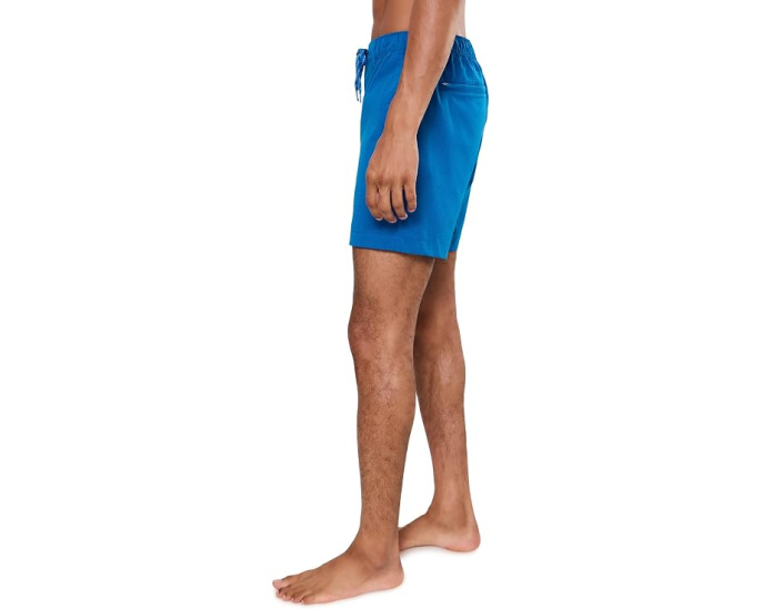 Шорты Chubbies The Blue Ribbons 6" Breezetech для повседневной носки