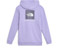 Худи The North Face Evolution Box NSE с капюшоном для детей