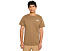 The North Face футболка Evolution TNF NSE Regular с коротким рукавом Caraway Seed