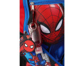 Набор рюкзаков Spider-Man 6 предметов BIOWORLD Kids