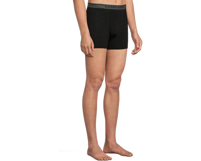 Трусы-боксеры Icebreaker Merino 150 Anatomica из мериносовой шерсти