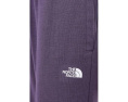 The North Face TNF Double Knit брюки женские прямые