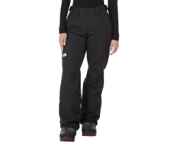 Утепленные штаны The North Face Freedom Insulated Pant с технологией DryVent
