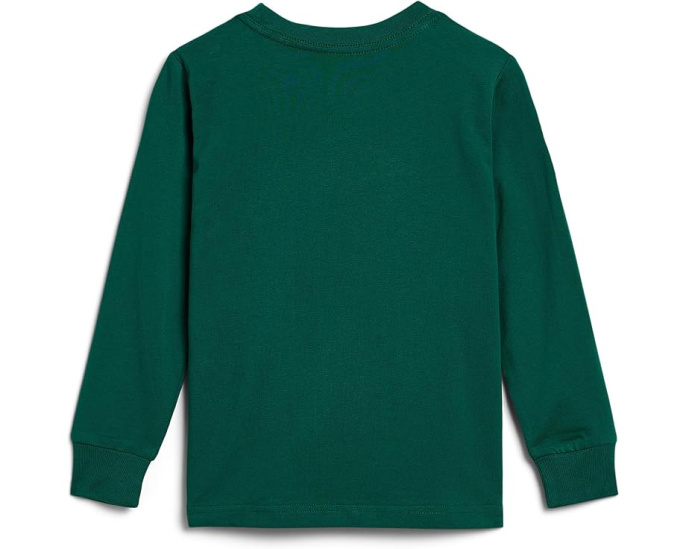 Big Pony Cotton Long Sleeve Tee (Toddler/Little Kid)