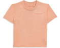 Топ Sunfaded Knit от abercrombie kids с принтом Canyon Sunset