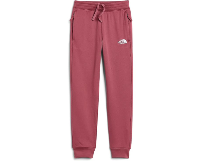 Флисовые джоггеры TNF Performance для детей