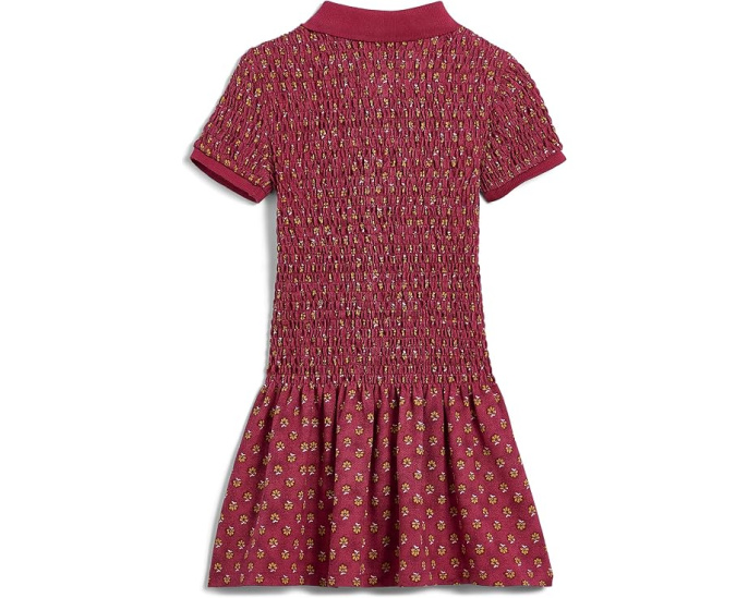 Floral Smocked Stretch Mesh Polo Dress (Toddler/Little Kid)