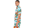 The Color Blitz Dolphins (Polo)