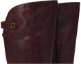 Сапоги FRYE AND CO. Kellie Button Tall Wide Calf на молнии