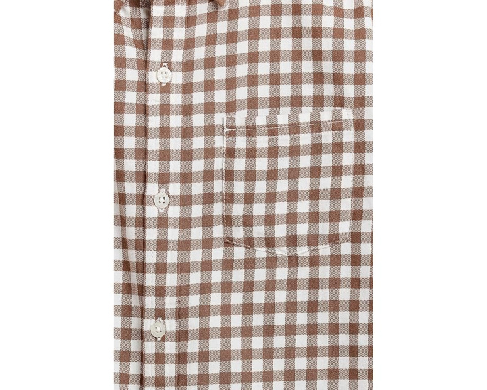 Gingham Brushed Twill Button-Down Shirt (Toddler/Little Kid/Big Kid)