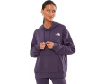 The North Face Evolution Moon Florals Print Box NSE оверсайз худи с цветочным принтом