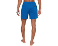 Шорты Chubbies The Blue Ribbons 6" Breezetech для повседневной носки