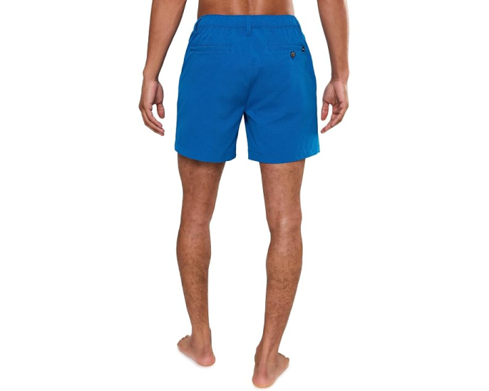 Шорты Chubbies The Blue Ribbons 6" Breezetech для повседневной носки