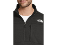 Теплая флисовая толстовка The North Face Gordon Lyons с молнией на четверть