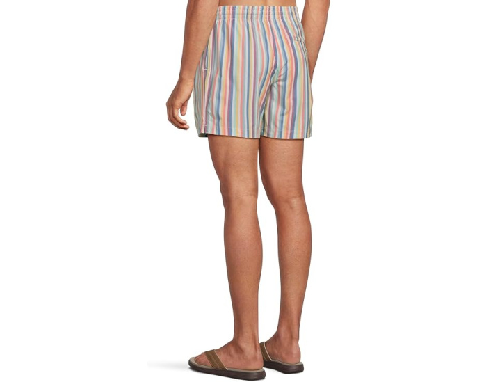 Плавки Chubbies The Parlor Stripes 5.5 дюйма с внутренней сеткой